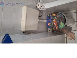 Loodgieter Reparatie toilet Reparatie toilet