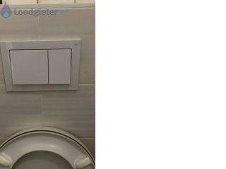 Loodgieter Hangtoilet Hangtoilet