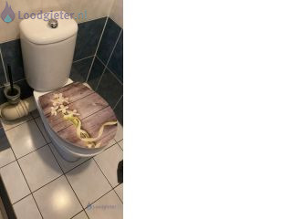 Loodgieter Toilet afvoer vervangen Sphinx staand toilet