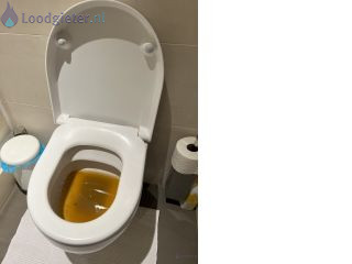 Loodgieter Verstopping WC Verstopping wc